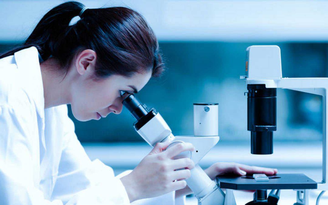 New Protandim Study – International Formula Impact on Oxidative Stress