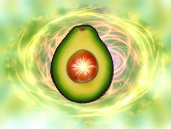 avocado and nrf2 activation