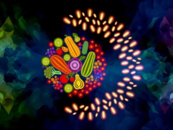 boosting nrf2 with diets