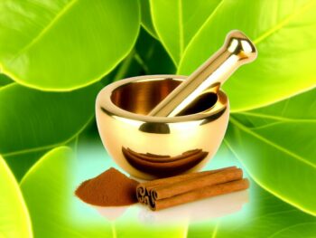 cinnamon boosts nrf2 activation