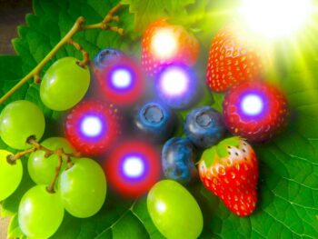 enhance nrf2 with antioxidants