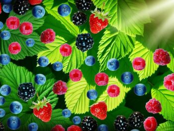 enhancing nrf2 with berries