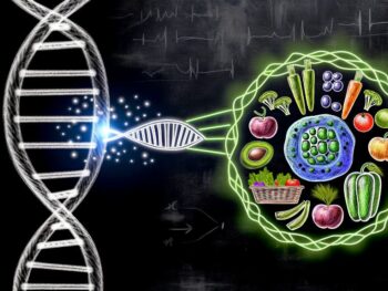 explanation of nrf2 activator
