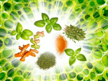 herbs for nrf2 activation