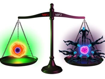 importance of nrf2 modulation