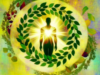 natural supplements aid nrf2
