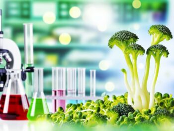 nrf2 activation in broccoli