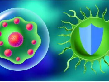 nrf2 activation reduces oxidative stress