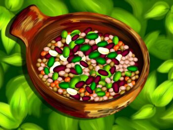 nrf2 activation with legumes