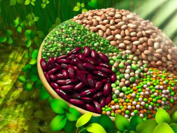 nrf2 boosting legumes for health